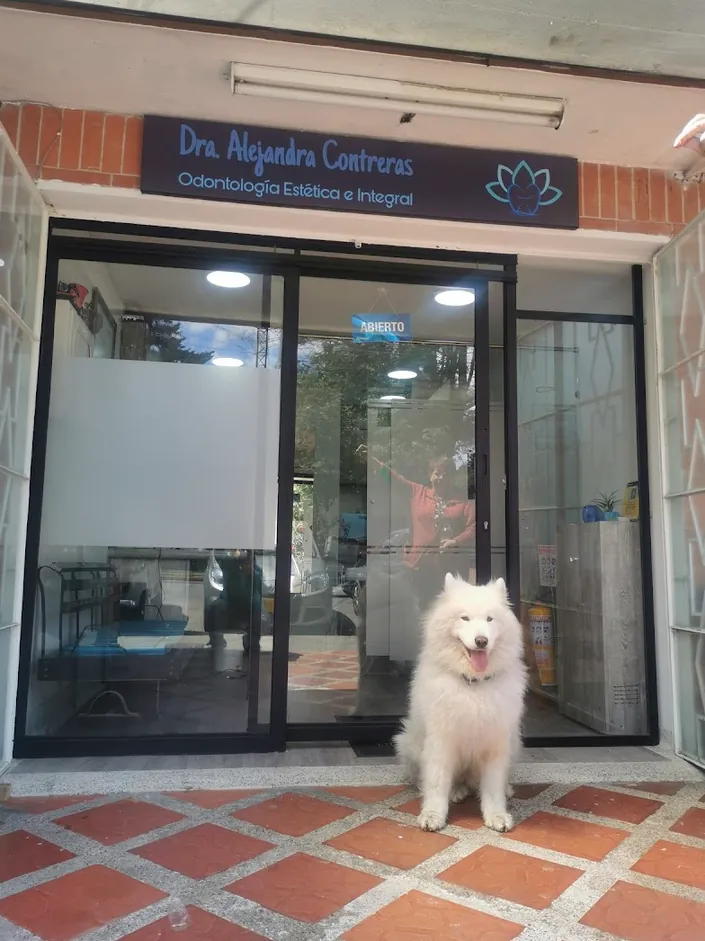 Dra. Alejandra Contreras Odontología Estética e Integral